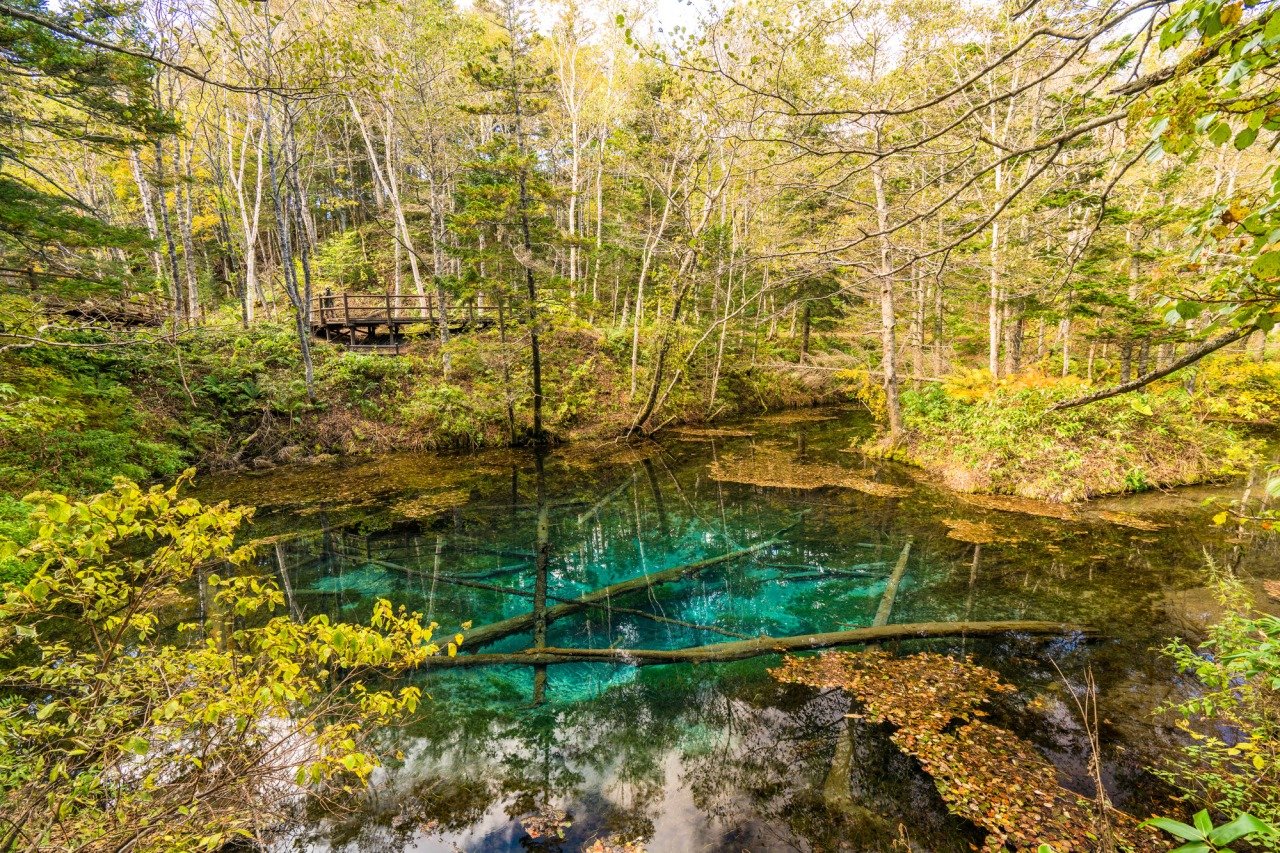 🏞️ 신의 아이 연못 (카미노코이케) 이미지 4
